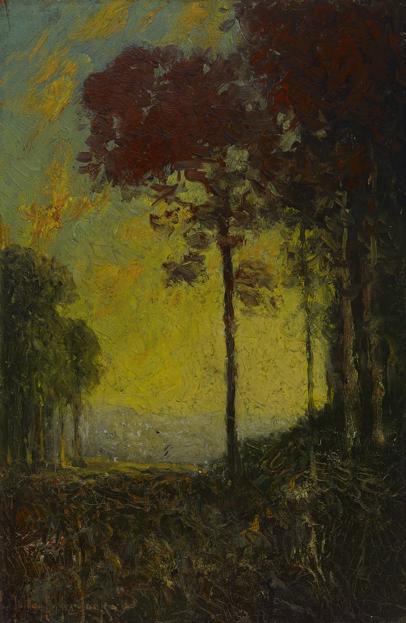 Pôr do sol de outono, 1908 de Julian Onderdonk