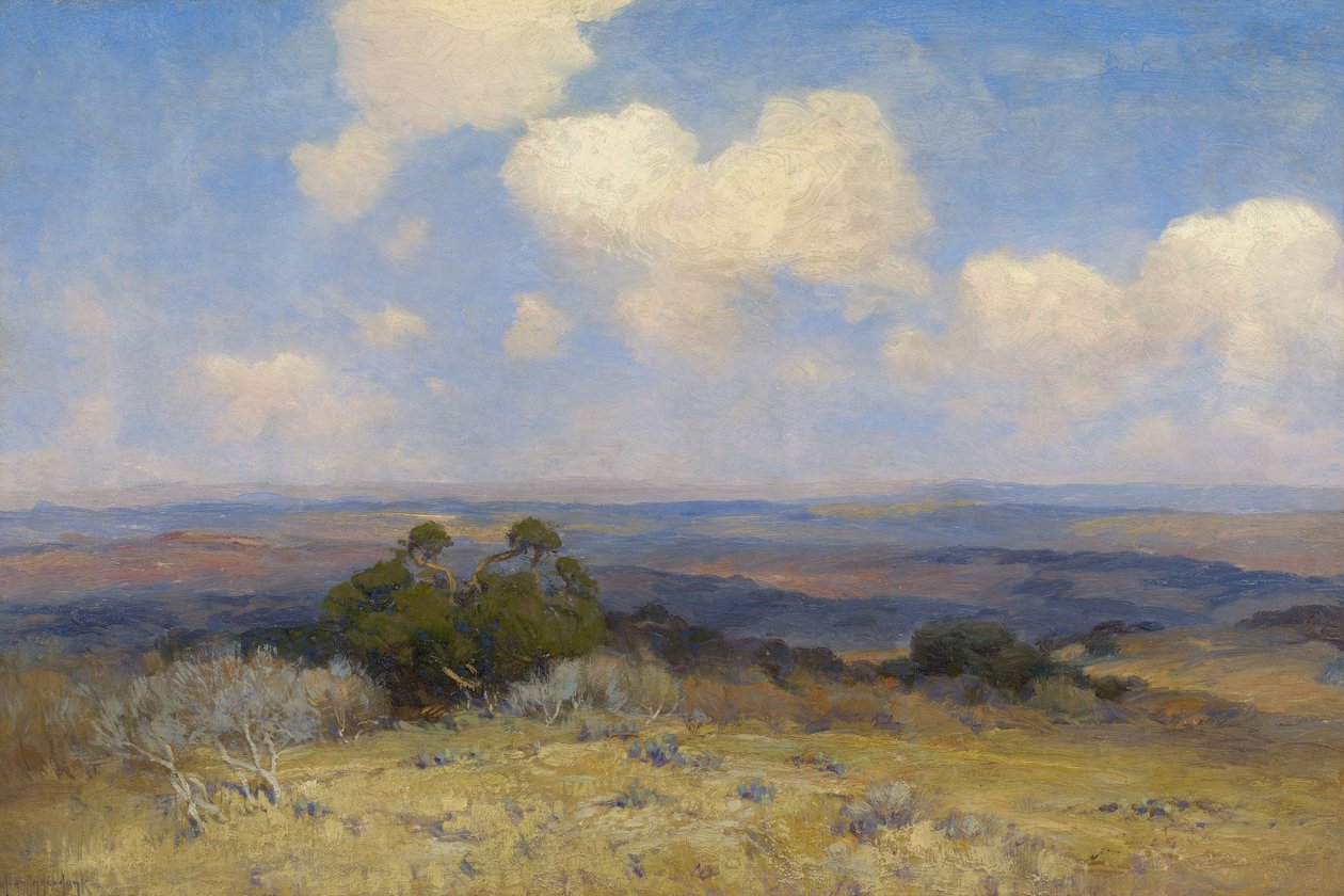 Luz solar e sombra, 1910 de Julian Onderdonk