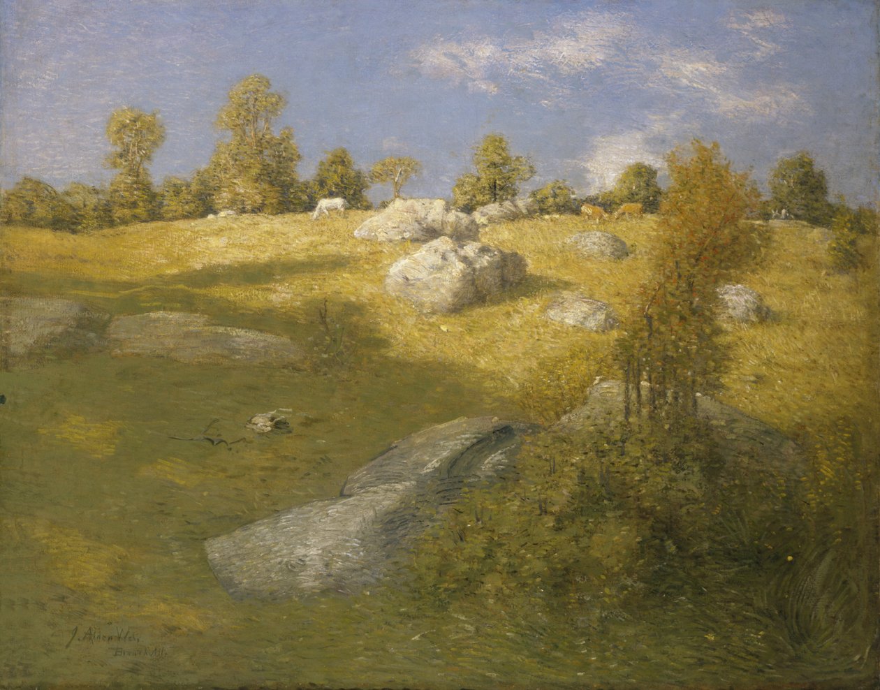 Pastagem de Planalto, c. 1905. de Julian Alden Weir