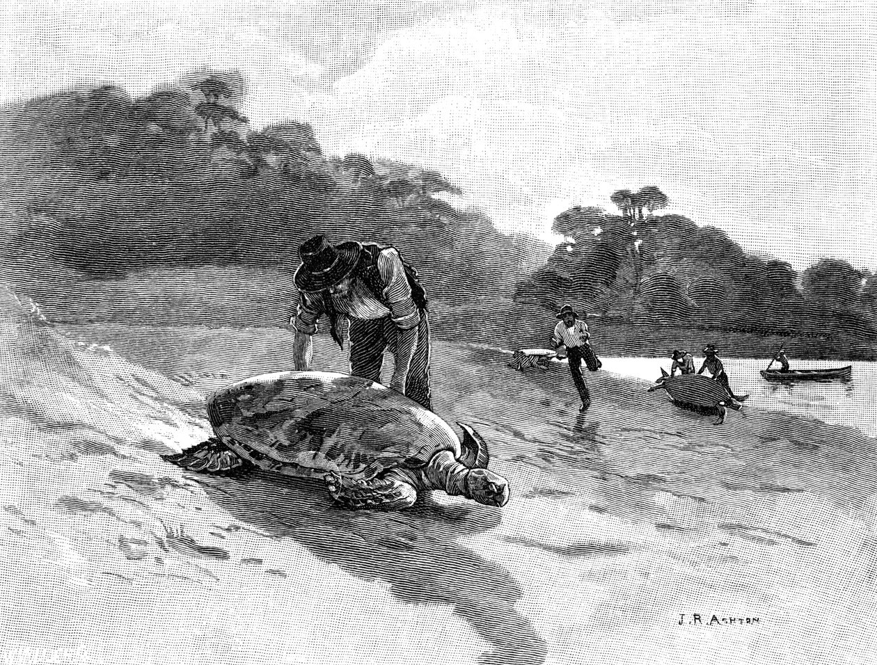 Captura de tartarugas, 1886. de Julian Ashton