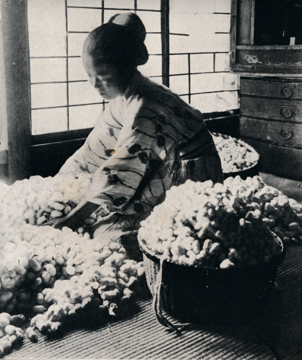 5000 bichos-da-seda comem 125 libras de amoreira por 8 novelos de seda, fazendo um quimono, c1900, 1921 de Julian Leonard Street