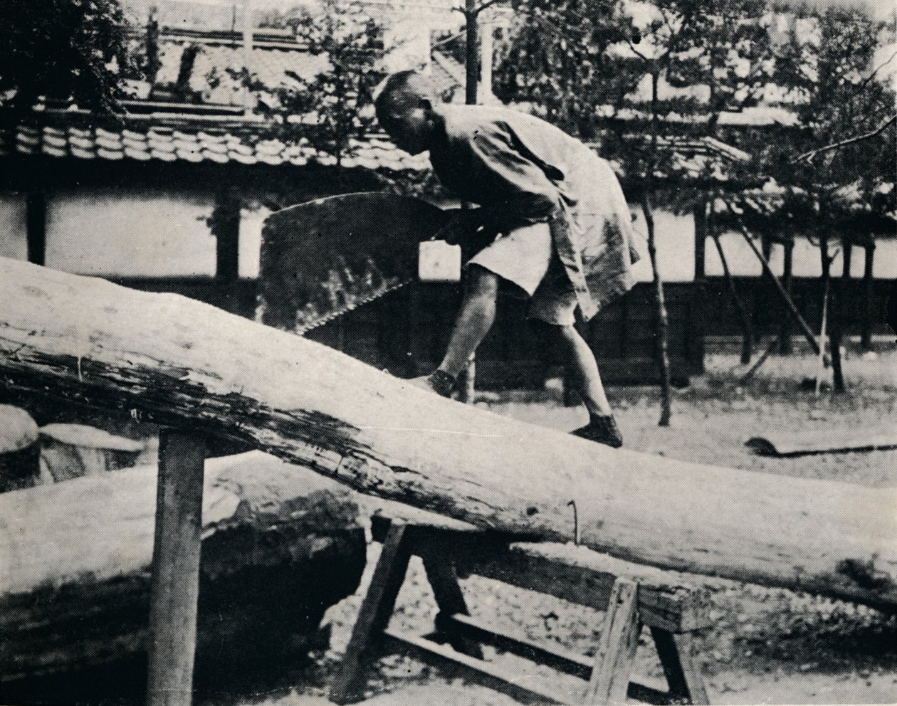 Serrar e aplainar são feitos com um puxão em vez de um movimento de direção, c1900, 1921 de Julian Leonard Street