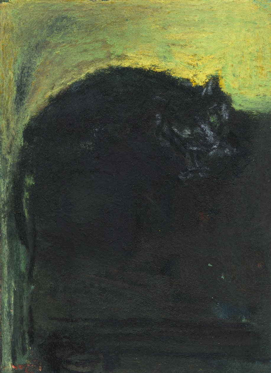 Gato preto, 2017 de Julie Held