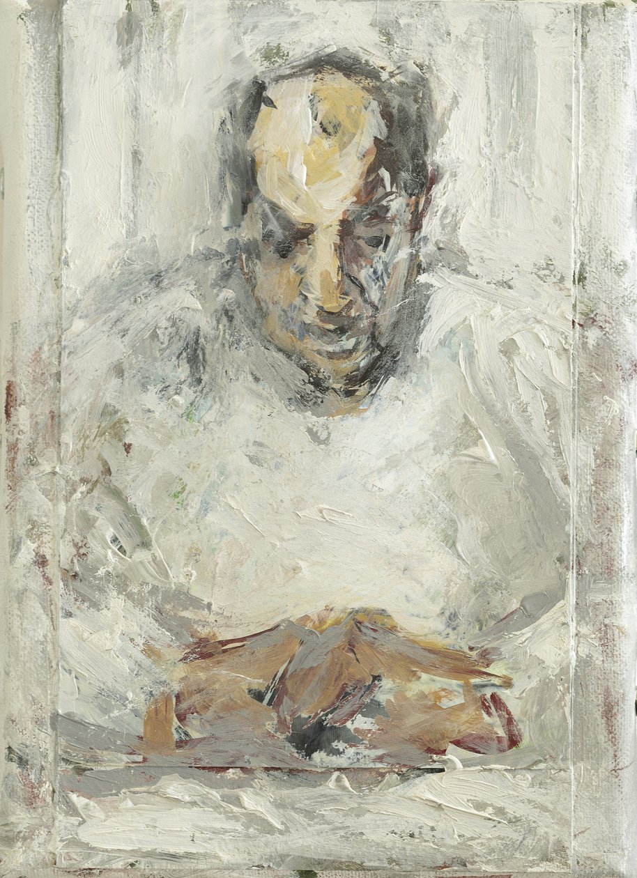 O Convalescente, 2014, de Julie Held