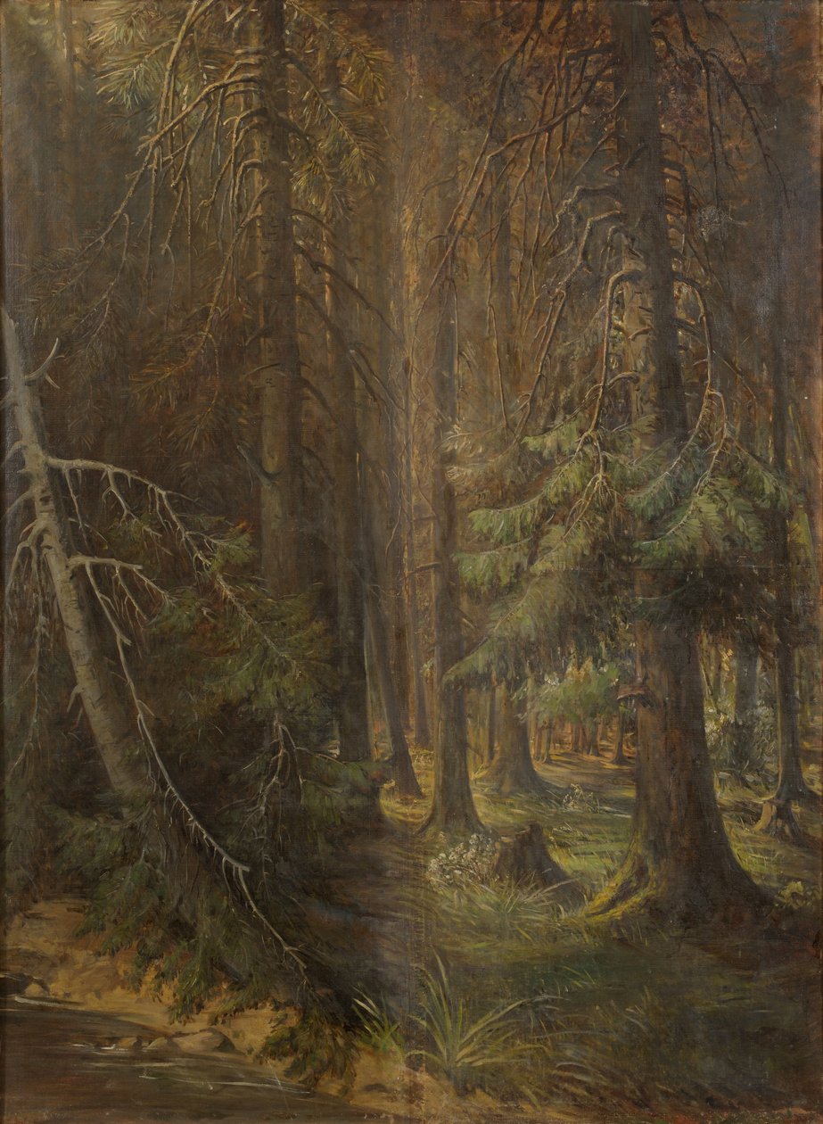 Floresta de Julie Wilhelmine Hagen Schwarz