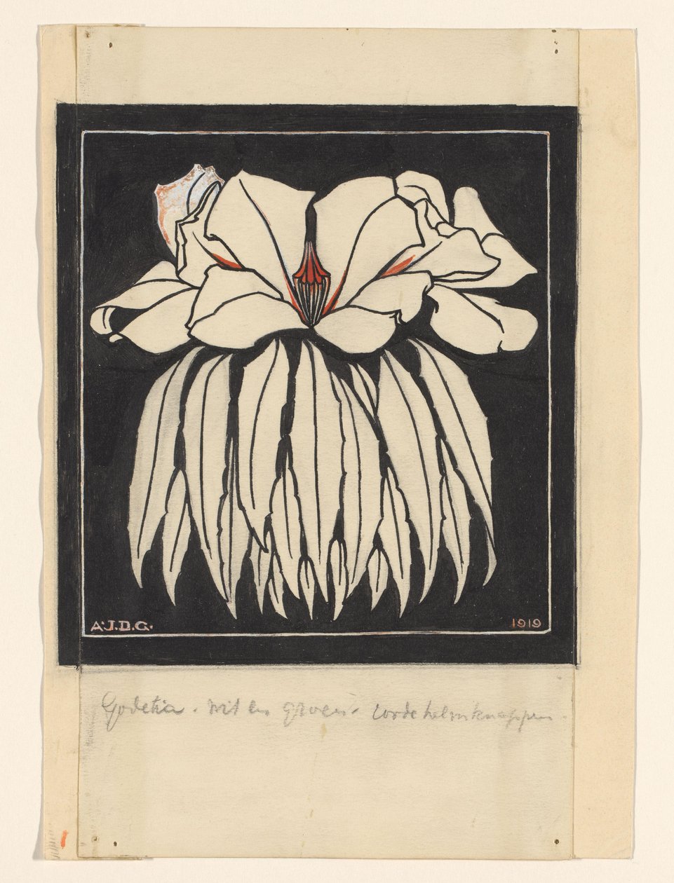 Godetia de Julie de Graag (signed by artist)