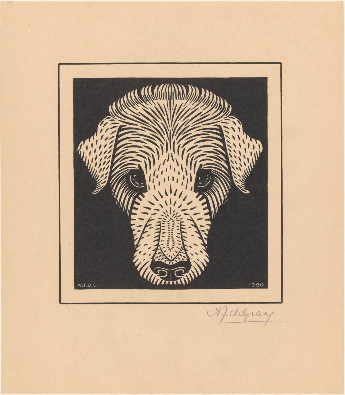 Cabeça de cão de Julie de Graag (signed by artist)