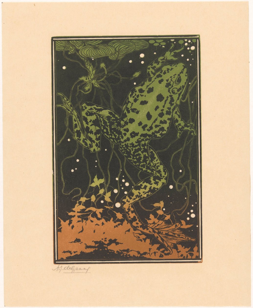 Sapo de natação de Julie de Graag (signed by artist)