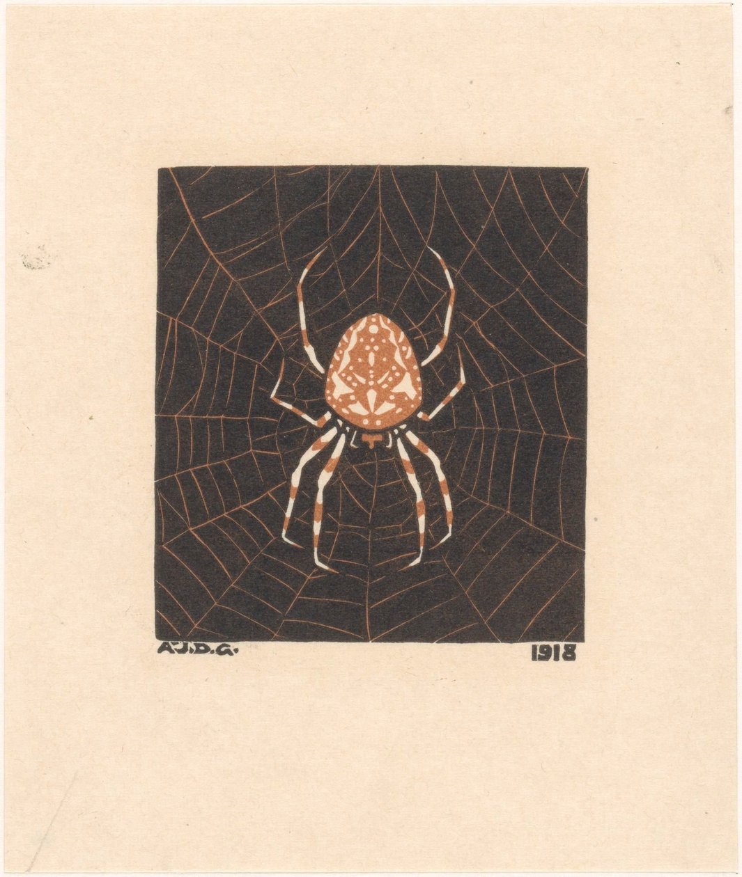 Aranha numa teia de Julie de Graag