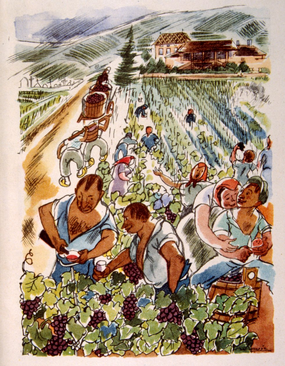 Vinhedo Francês. 1944. Ilustração do Pavilhão Julien de Julien Pavil