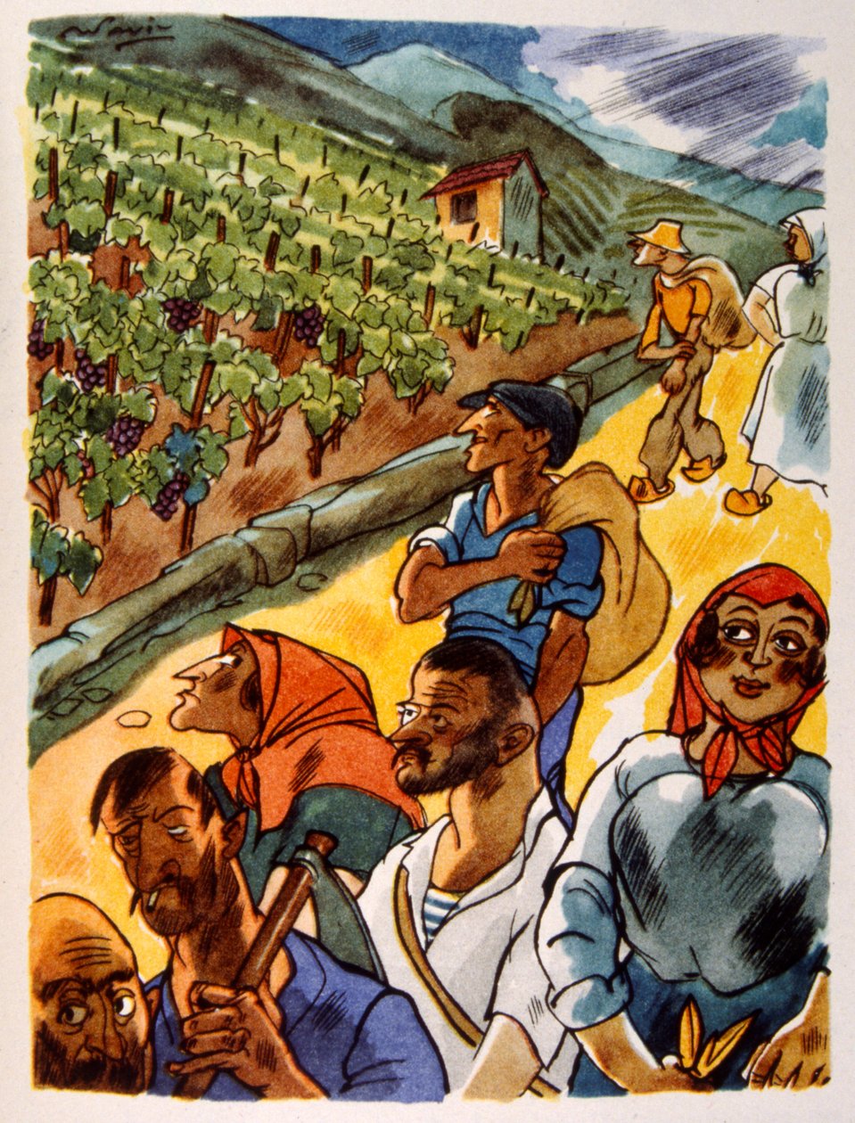 Vinhedo Francês. 1944. Ilustração do Pavilhão Julien de Julien Pavil