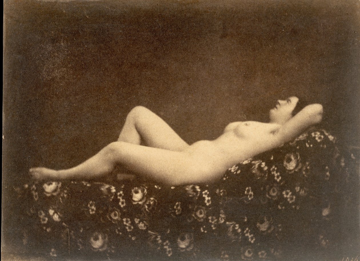 [Nu feminino, reclinado, de perfil], c. 1853. de Julien Vallou de Villeneuve