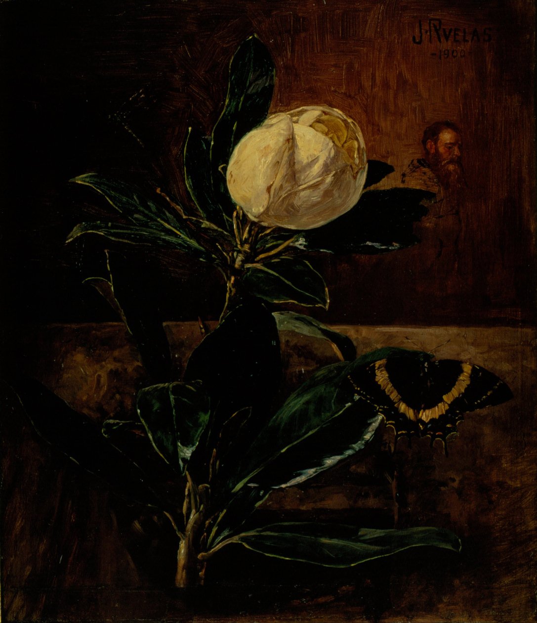 A magnólia de Julio Ruelas