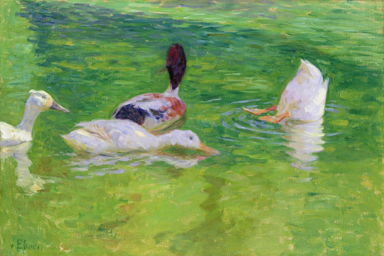 Patos, c.1897 de Julius August Friedrich Theodor von Ehren