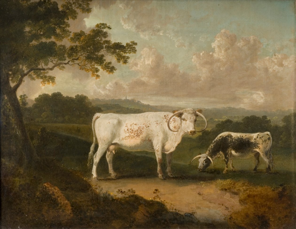 Kenwood, gado de pedigree de Lord Mansfield, 1797 de Julius Caesar Ibbetson