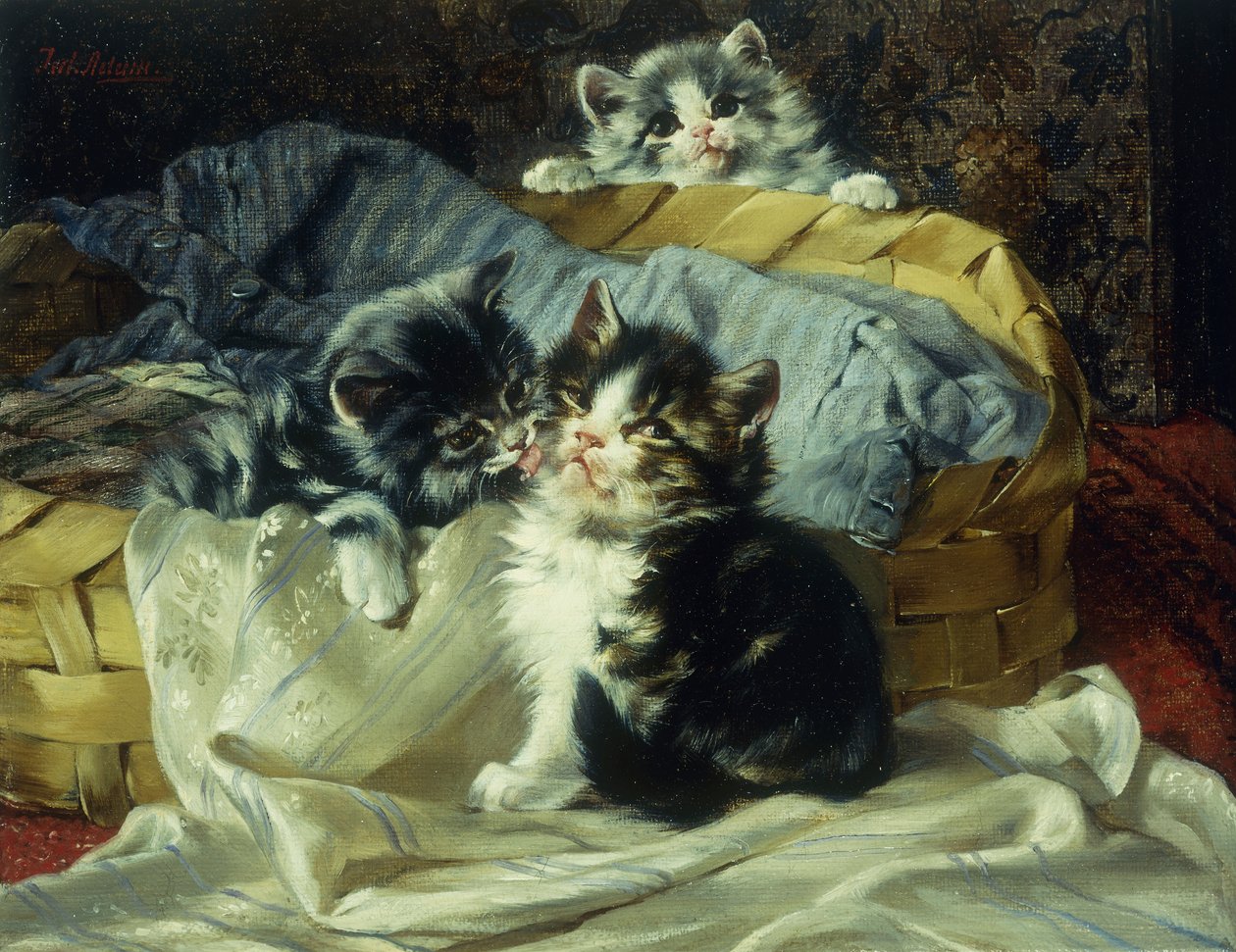 Gatinhos Brincalhão de Julius Adam