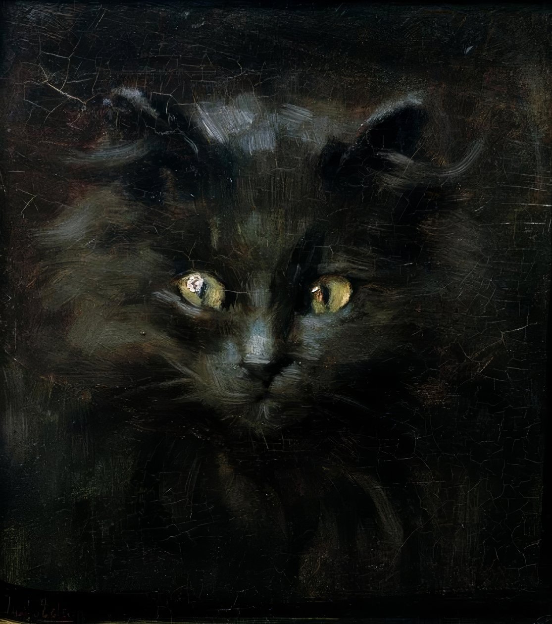 Retrato de um gato de Julius Adam