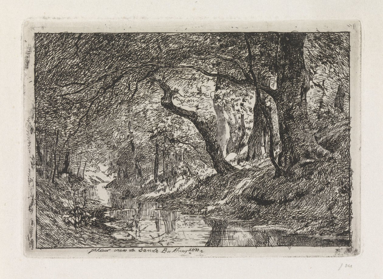 Paisagem florestal com riacho e árvores na margem de Julius Jacobus van de Sande Bakhuyzen