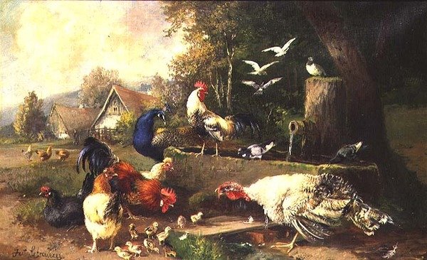 Aves de capoeira por uma Bomba de Julius Scheuerrer