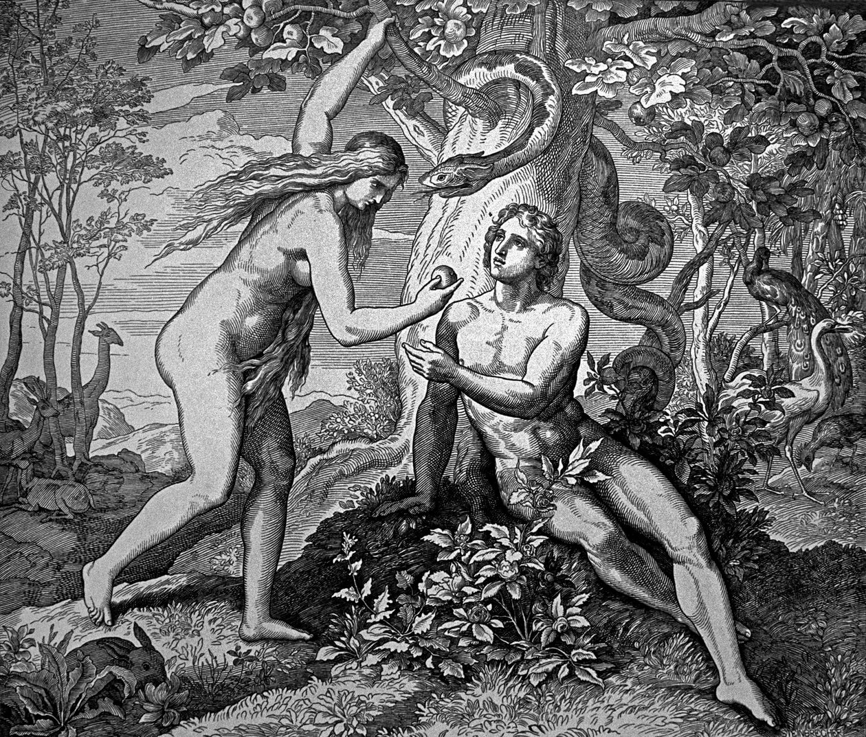 Adão e Eva com a maçã de Julius Schnorr von Carolsfeld