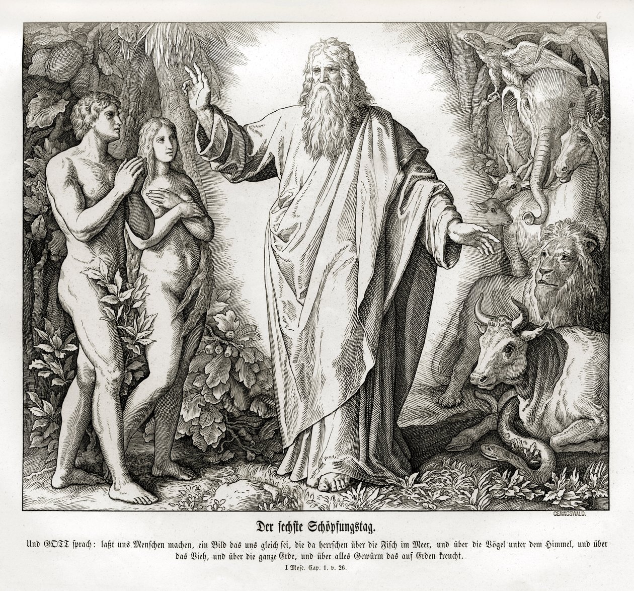 Sexto dia da criação, Gênesis de Julius Schnorr von Carolsfeld