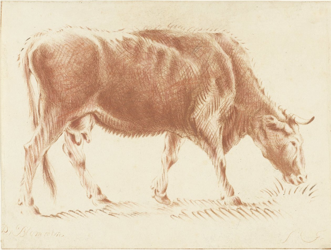 Vaca de pasto de Jurriaan Cootwijck
