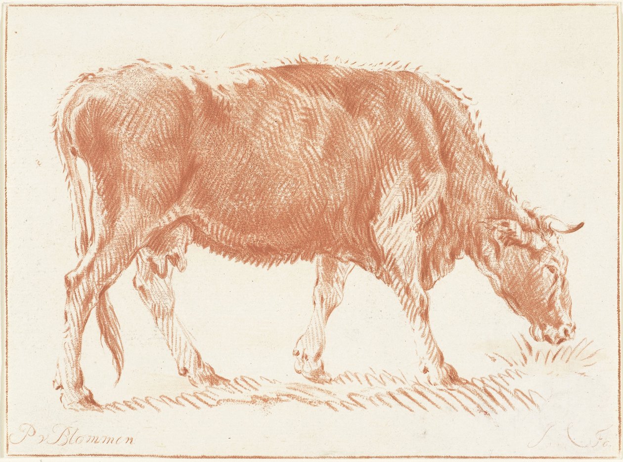 Vaca de pasto de Jurriaan Cootwijck