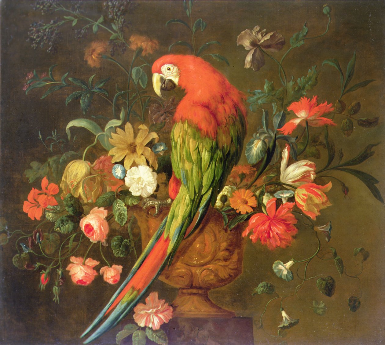 Arara Escarlate empoleirada em uma urna esculpida com flores (óleo sobre tela) de Justus van Huysum