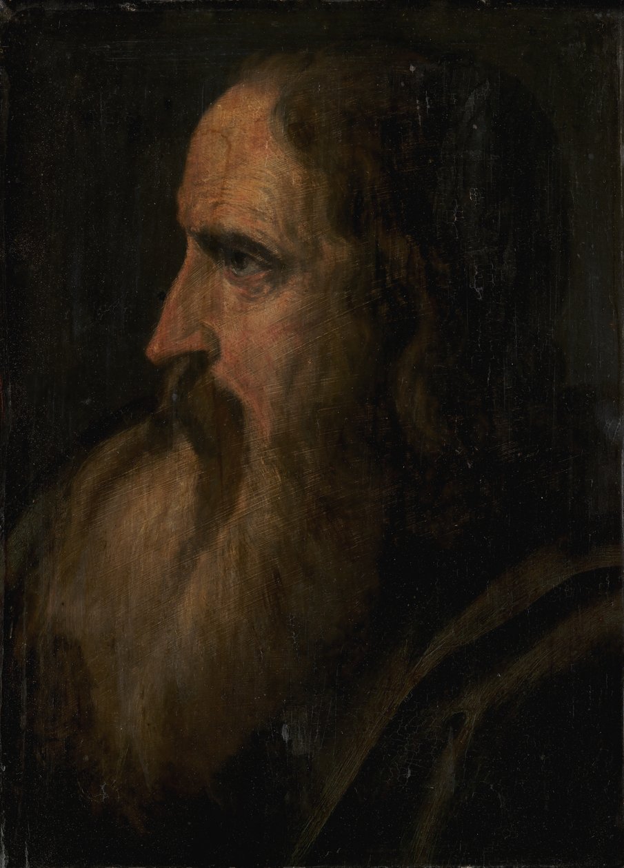 retrato de homem barbudo de KMS 973 Ubekendt