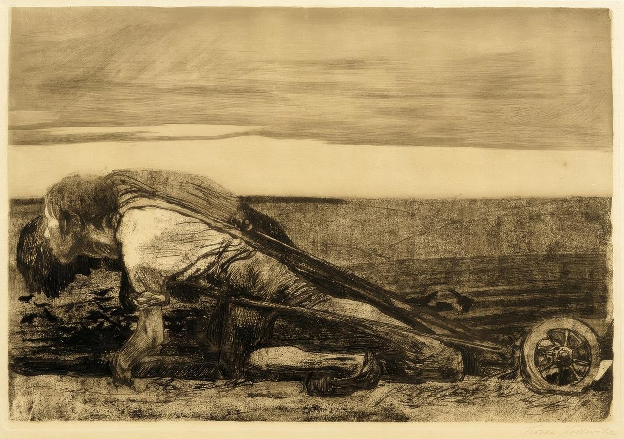 O leme de Käthe Kollwitz
