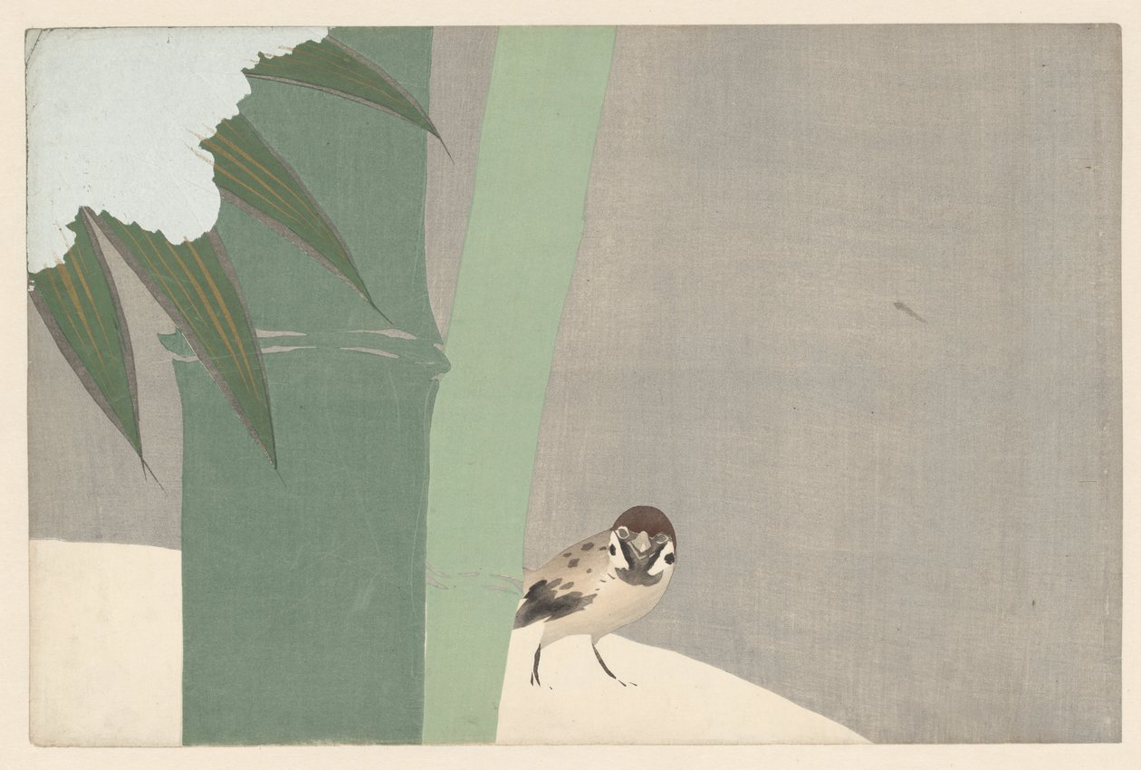 Bambu na neve, 1909 (impressão em xilogravura) de Kamisaka Sekka