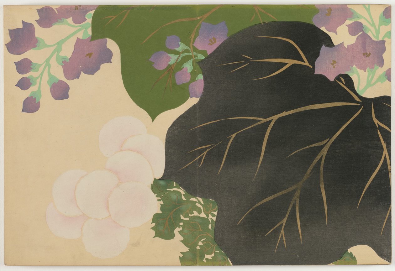 Flores de cem mundos (Momoyogusa): Crisântemo e Paulownia (Kikukiri) de Kamisaka Sekka