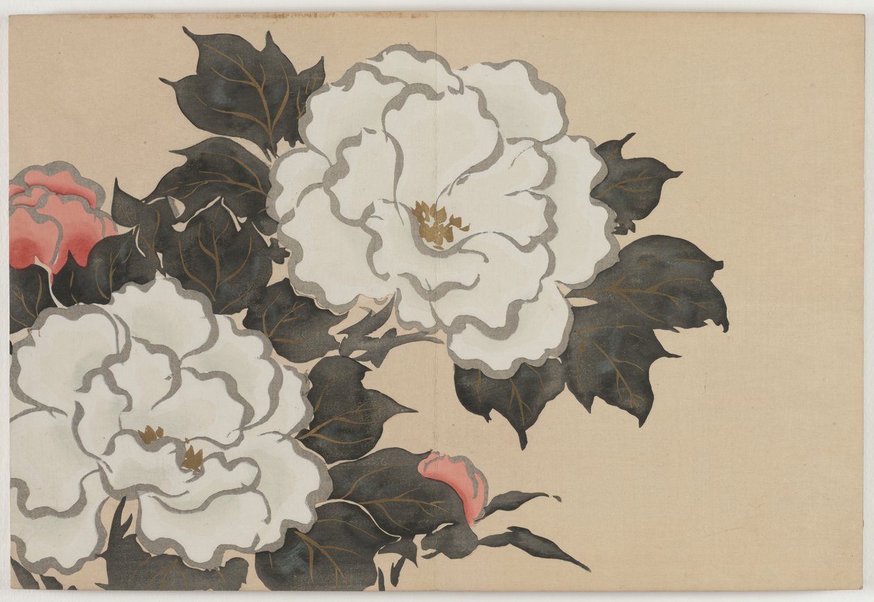 Flores de Cem Mundos (Momoyogusa): Peônias (Fukamigusa) de Kamisaka Sekka