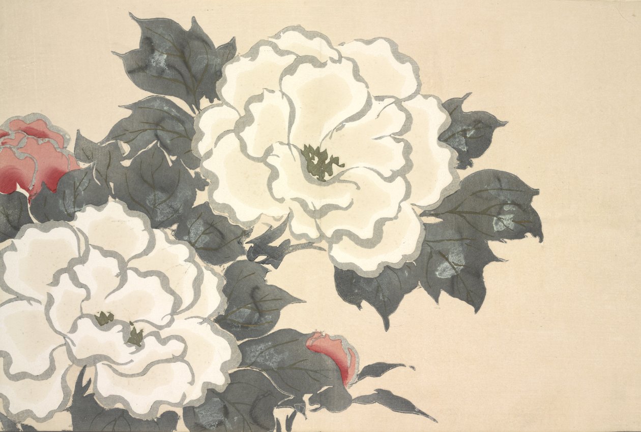 Fukami-Gusa, de Momoyo-gusa (O Mundo das Coisas) Vol I, pub.1909 (bloco de cor xilogravura) de Kamisaka Sekka