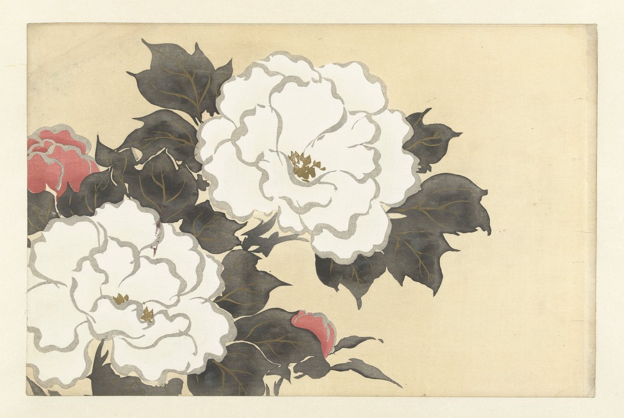 Peônias, 1909 (impressão em xilogravura) de Kamisaka Sekka