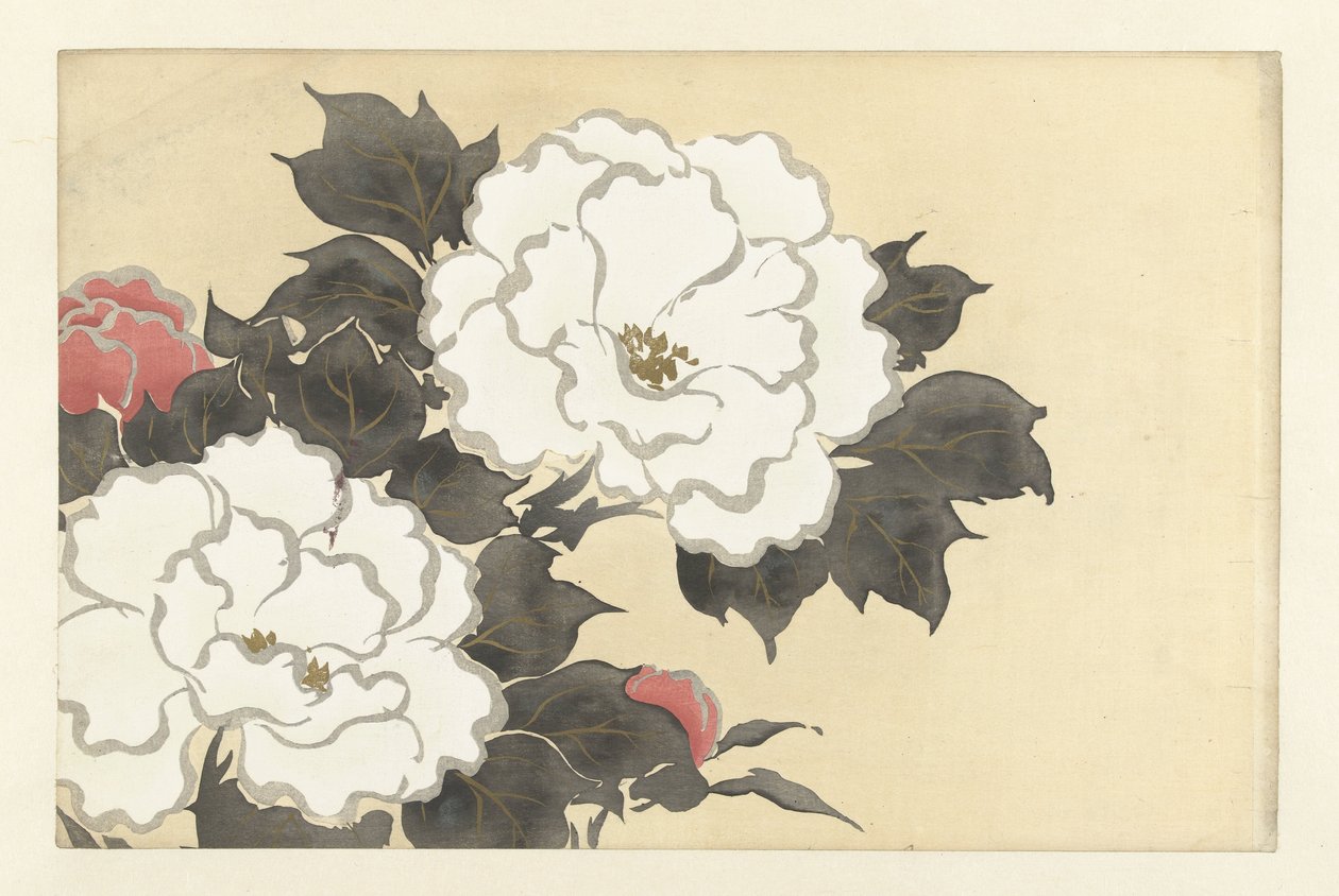 peônias fukamigusa Flores de cem mundos (título da série) Momoyogusa, vol. 1 (título da série) de Kamisaka Sekka