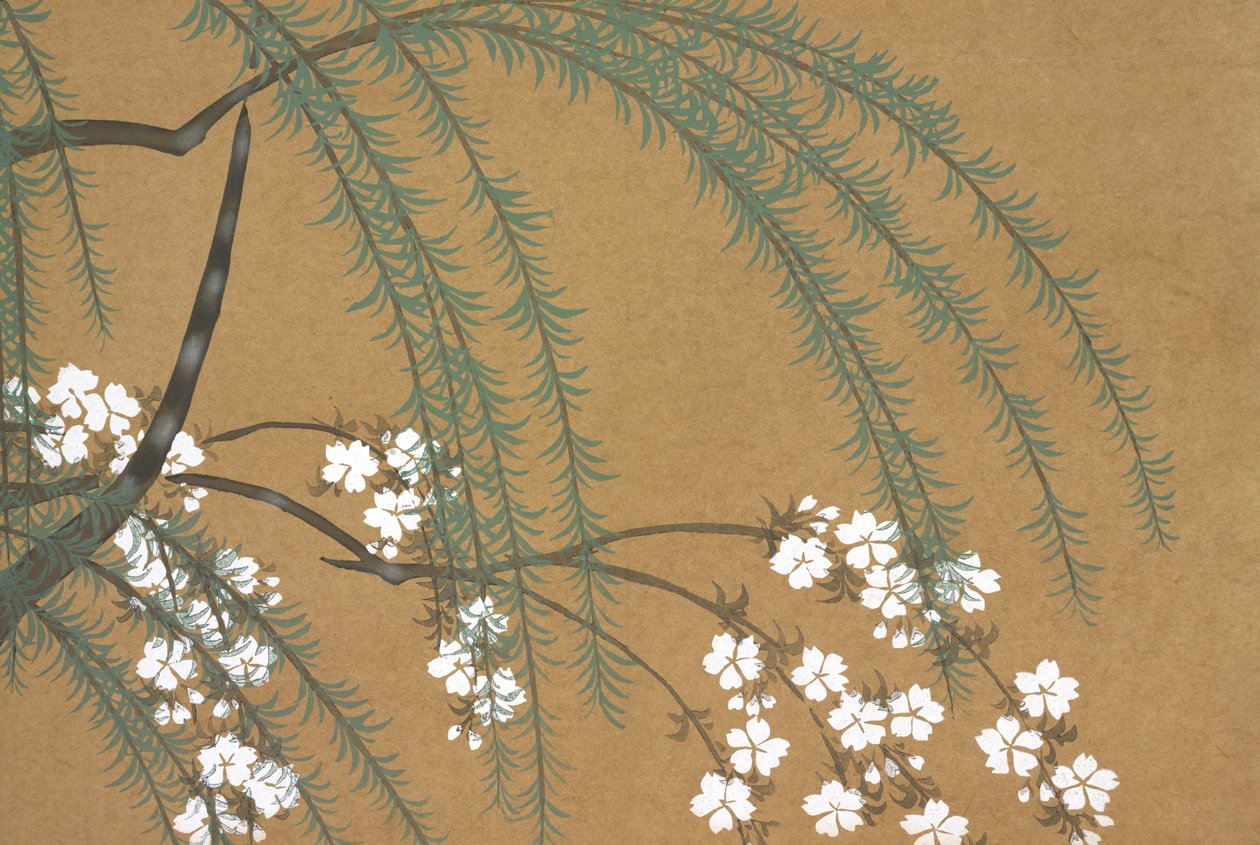 Yanagi Sakura, de Momoyo-gusa de Kamisaka Sekka