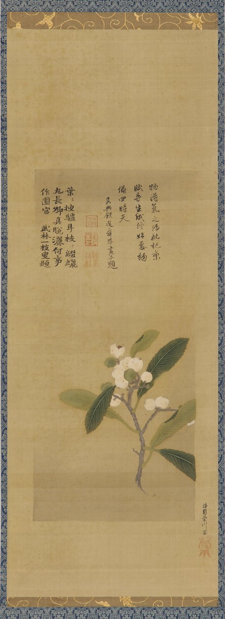 Um ramo de nêsperas, período Edo, século XVIII. de Kanô Eisen