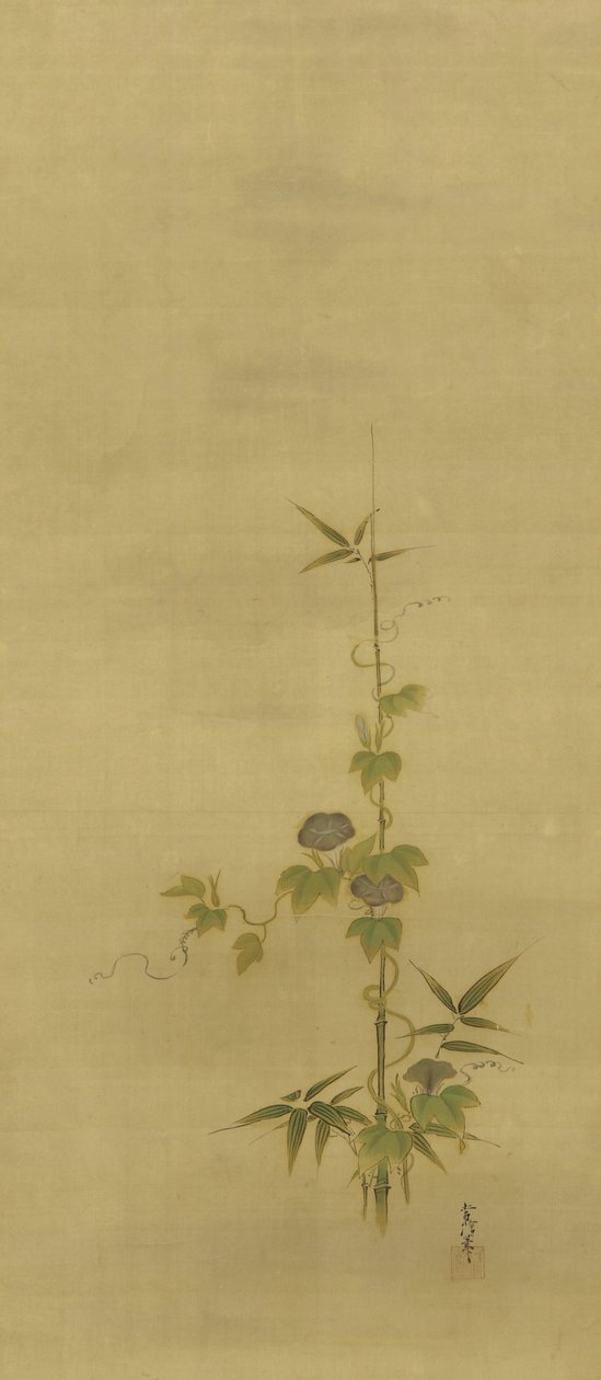 Bambu e glórias da manhã, período Edo, meados do século XVII ao início do século XVIII (tinta e cor na seda) de Kano Tsunenobu
