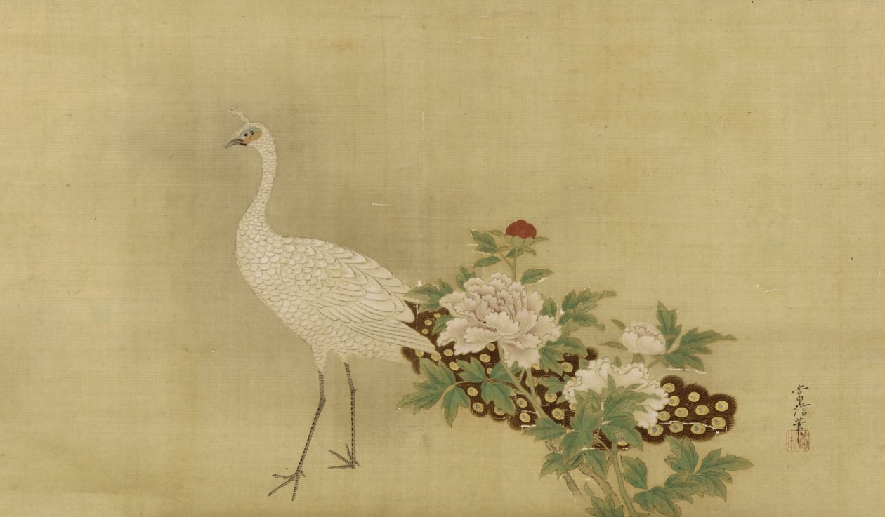Pavão branco e peônias, período Edo, meados do século XVII ao início do século XVIII (tinta, cor e ouro na seda) de Kano Tsunenobu