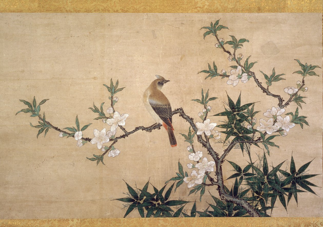 Pássaro na flor de pêssego, c.1550-60 (aquarela sobre papel) de Kano Yukinobu