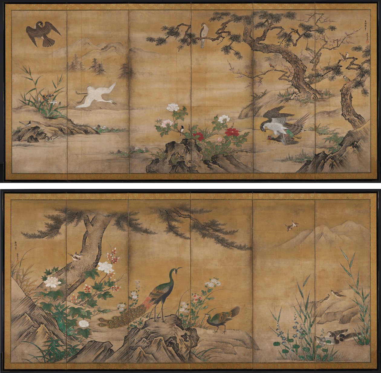 pássaros e flores de Kano Mitsunobu