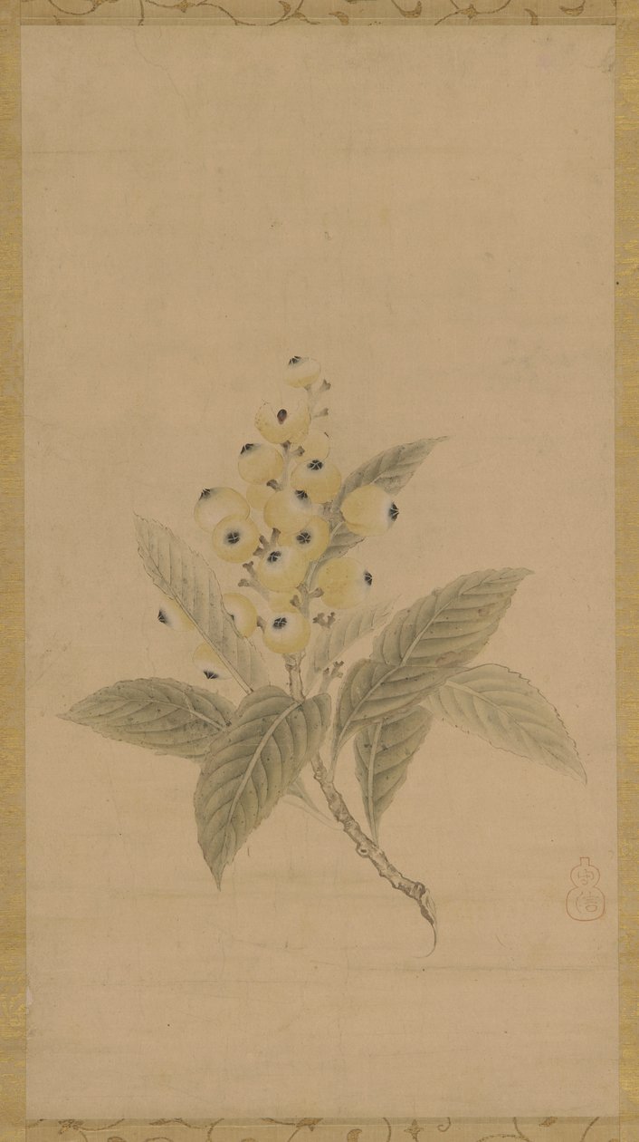 Um ramo de nêsperas, período Edo, século XVII. de Kanō Tan’yū