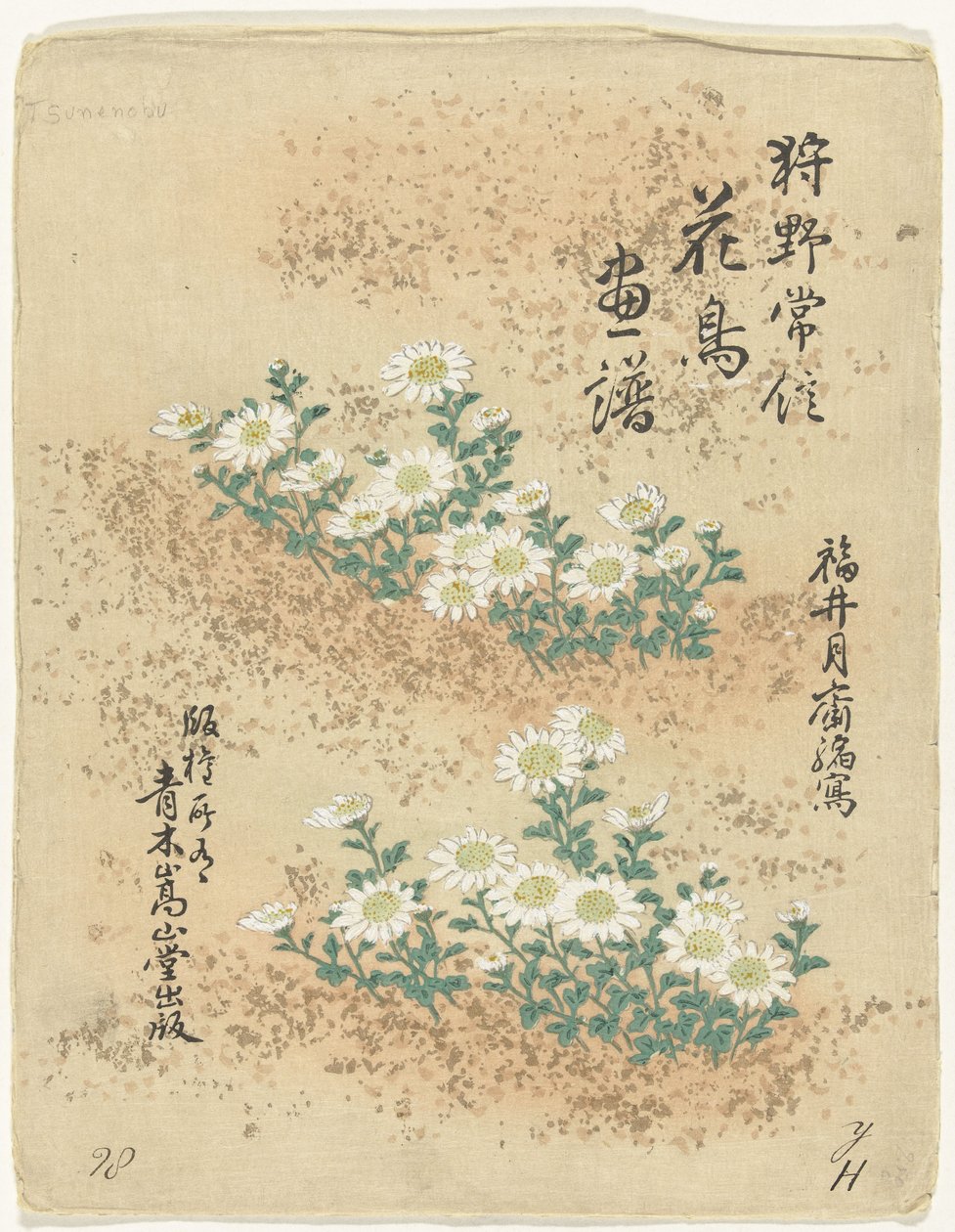 Índice Esboços de flores e pássaros por Kano Tsunenobu (título da série) Kano Tsunenobu kacho gafu (título da série no objeto) de Kano Tsunenobu