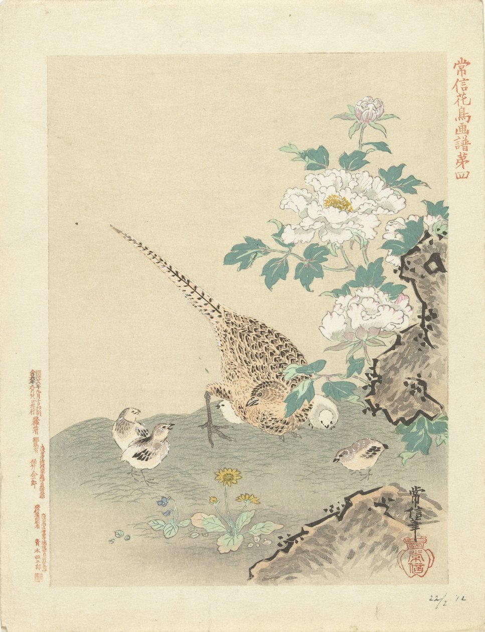 codorna com pintinhos Esboços de flores e pássaros por Kano Tsunenobu (título da série) Kano Tsunenobu kacho gafu (título da série no objeto) de Kano Tsunenobu