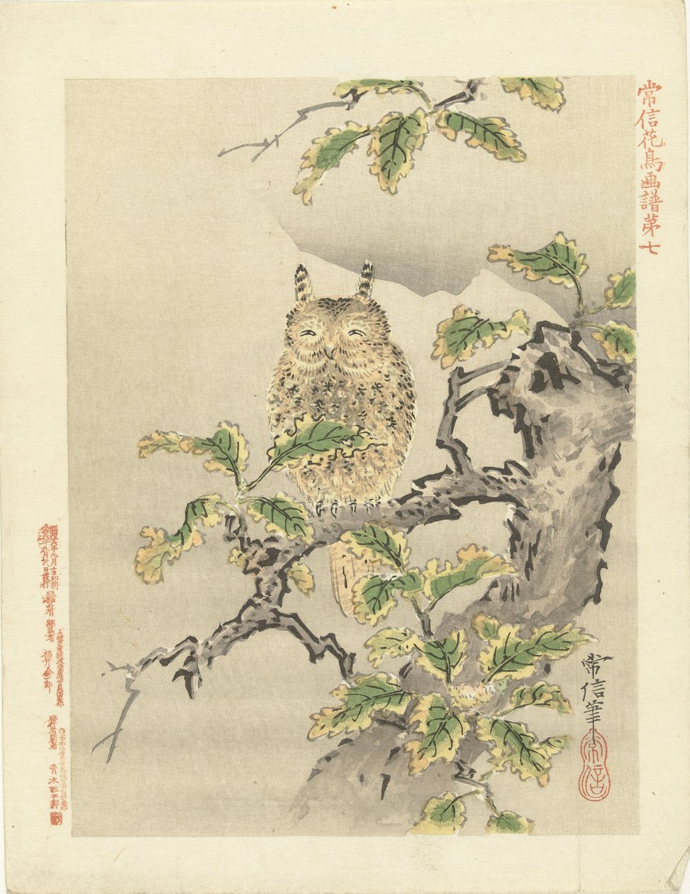Coruja sobre ramo
Esboços de flores e aves de Kano Tsunenobu (título da série)
Kano Tsunenobu kacho gafu (título da série sobre o objecto) de Kano Tsunenobu