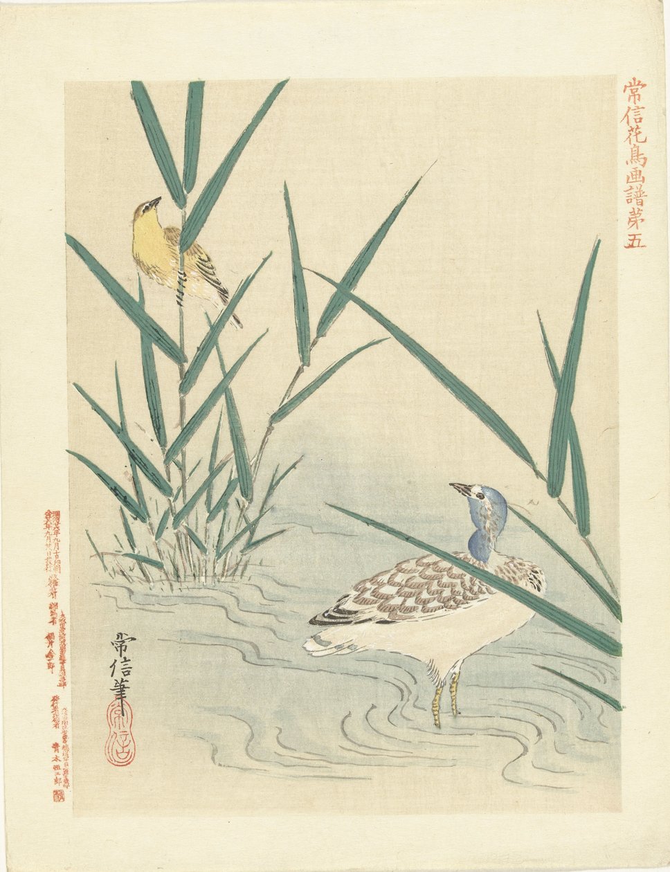 Ave aquática que observa pássaros amarelos
Esboços de flores e aves de Kano Tsunenobu (título da série)
Kano Tsunenobu kacho gafu (título da série sobre o objecto) de Kano Tsunenobu
