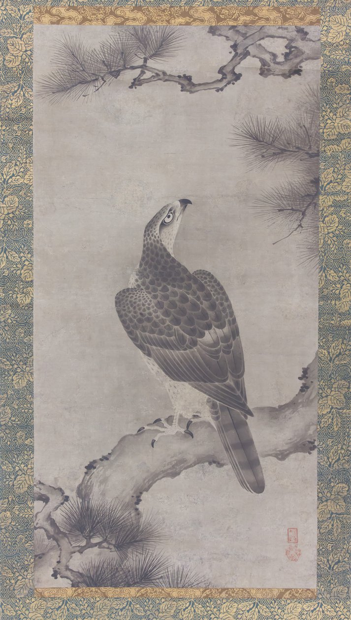 Hawk em um Pine Shoo zu, século XVI. de Kano Yukinobu