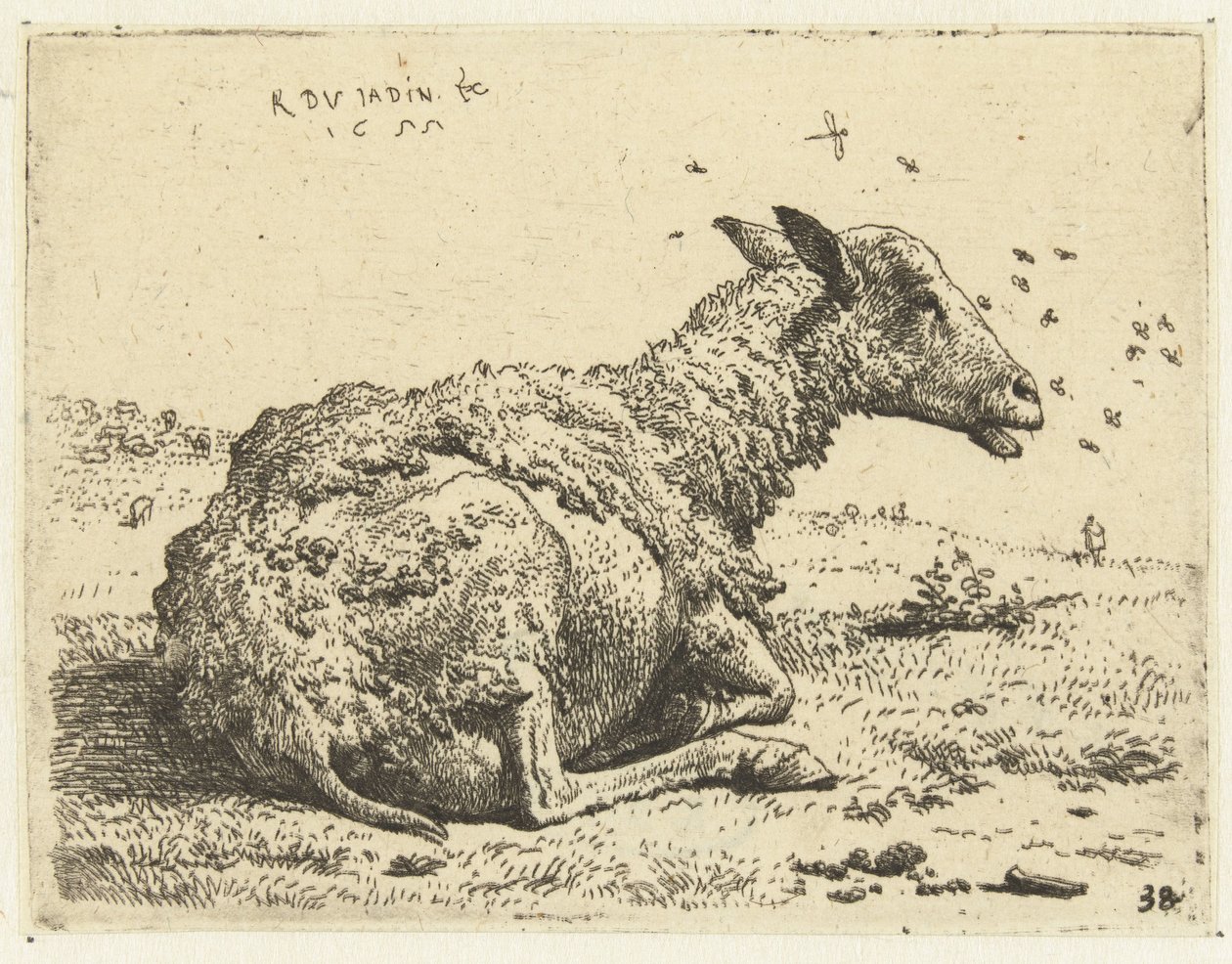 Ovelhas de ovelha com moscas de Karel Du Jardin