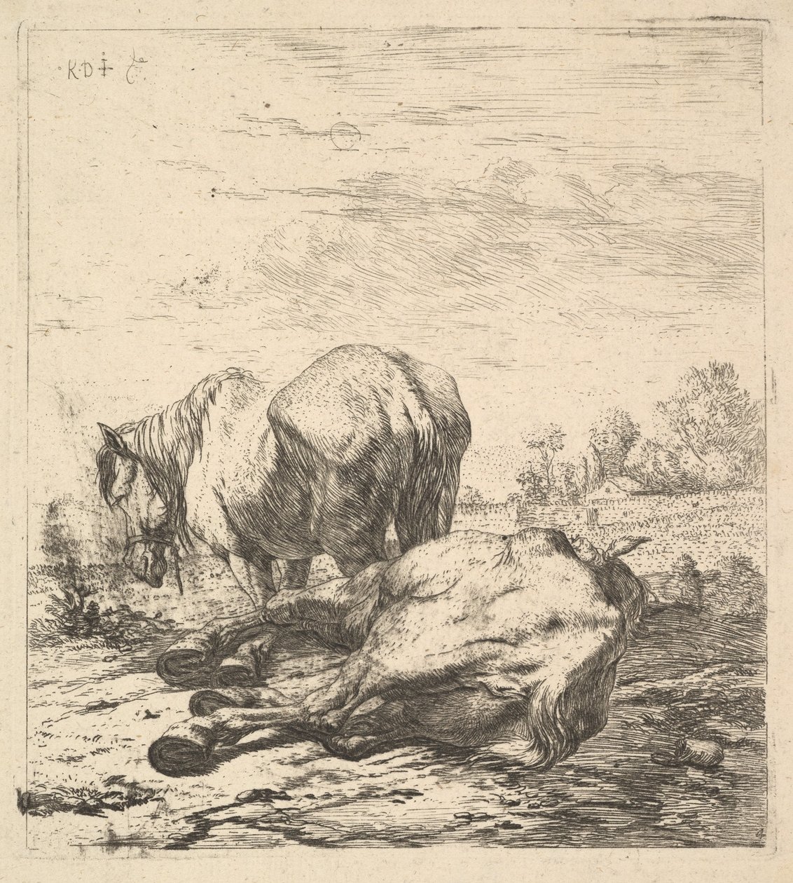 Os dois cavalos, século XVII. de Karel Du Jardin